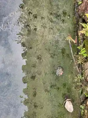 円成院(奈良県)