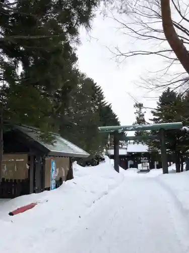 琴似神社の鳥居