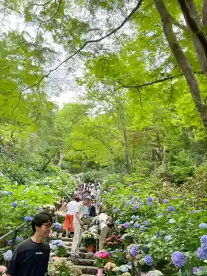 長谷寺(奈良県)