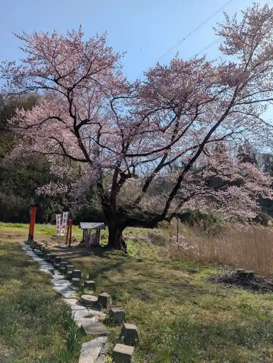 宇賀神さま(福島県)