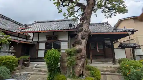 聖恩寺(京都府)