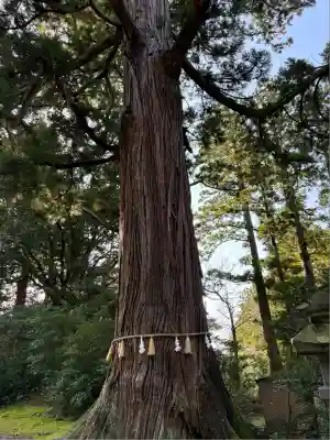 八幡宮(富山県)