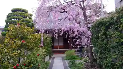 清蓮寺の本殿・本堂
