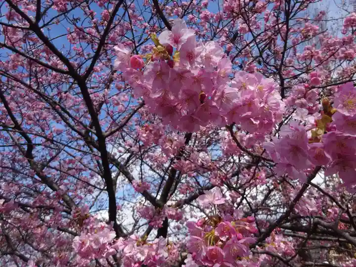 かっぱの寺 栖足寺の自然