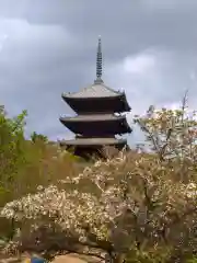 仁和寺(京都府)