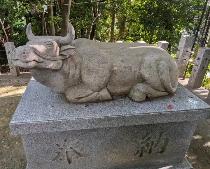白山神社(二子町)の{uncategorized: "未分類", other: "その他", undefined: "問題あり", building: "その他建物", grave: "お墓", sacred_gate: "鳥居", guardian: "狛犬", statue: "像", buddha: "仏像", history: "歴史", nature: "自然", garden: "庭園", animal: "動物", pagoda: "塔", temizu: "手水舎", mountain_gate: "山門・神門", sanctuary: "本殿・本堂", subordinate: "末社・摂社", art: "芸術", scenery: "景色", jizo: "地蔵", ema: "絵馬", goshuin: "御朱印", omikuji: "おみくじ", items: "授与品その他", amulet: "お守り", goshuincho: "御朱印帳", eats: "食事", festival: "お祭り", votive_dance: "神楽", shichigosan: "七五三参", wedding: "結婚式", experience: "体験その他", initially: "初詣", around: "周辺", anti_infection: "感染症対策"}