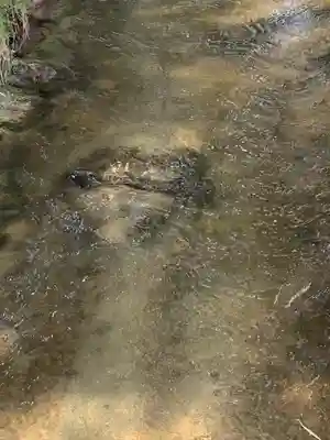 常堅寺(岩手県)