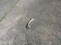 田耕神社(山口県)