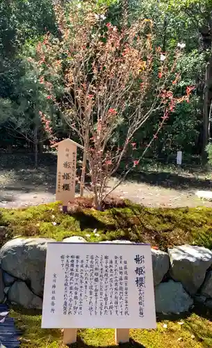 寒川神社の歴史