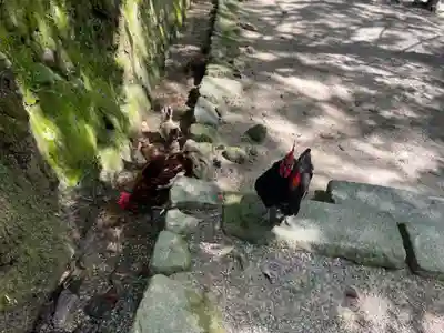 石上神宮(奈良県)