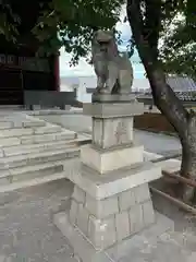 龍宮神社の狛犬