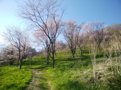 虻田神社の自然