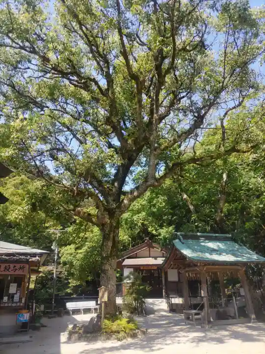 志賀海神社(福岡県)
