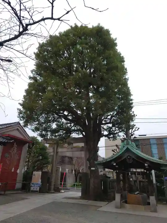 麻布氷川神社(東京都)