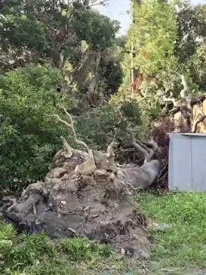 飯室乃神社(静岡県)