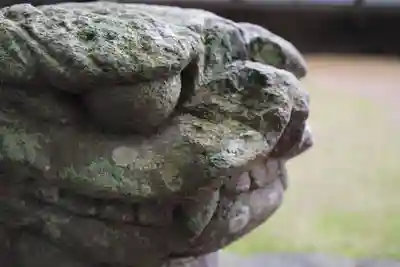 新田神社の狛犬