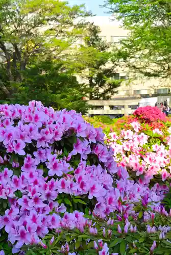 根津神社(東京都)