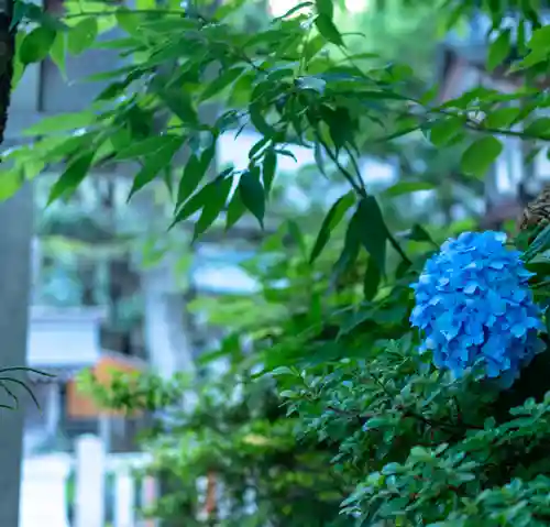 白山比咩神社(石川県)