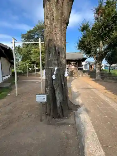 淡嶋神社(東京都)