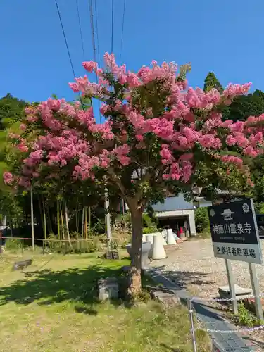 霊泉寺(岐阜県)