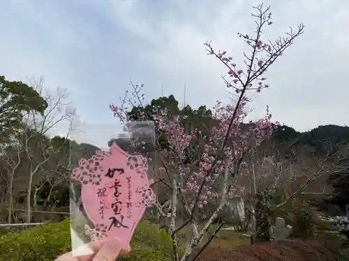 観心寺(大阪府)