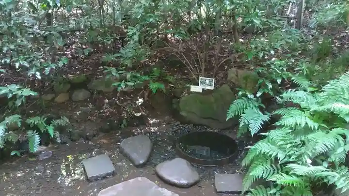 明治神宮の庭園