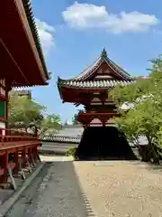 金剛寺(大阪府)