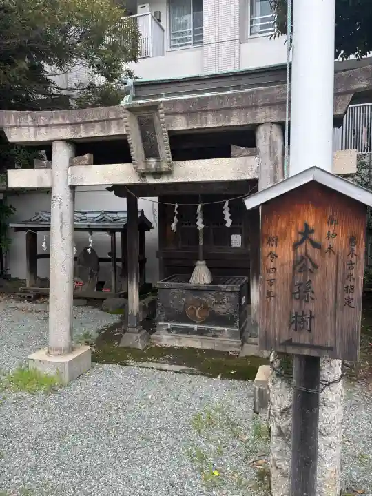 東神奈川熊野神社(神奈川県)