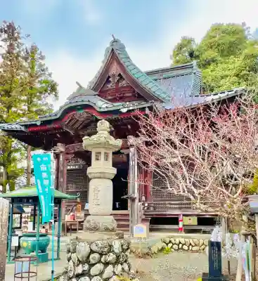 秩父札所１番　四萬部寺の{uncategorized: "未分類", other: "その他", undefined: "問題あり", building: "その他建物", grave: "お墓", sacred_gate: "鳥居", guardian: "狛犬", statue: "像", buddha: "仏像", history: "歴史", nature: "自然", garden: "庭園", animal: "動物", pagoda: "塔", temizu: "手水舎", mountain_gate: "山門・神門", sanctuary: "本殿・本堂", subordinate: "末社・摂社", art: "芸術", scenery: "景色", jizo: "地蔵", ema: "絵馬", goshuin: "御朱印", omikuji: "おみくじ", items: "授与品その他", amulet: "お守り", goshuincho: "御朱印帳", eats: "食事", festival: "お祭り", votive_dance: "神楽", shichigosan: "七五三参", wedding: "結婚式", experience: "体験その他", initially: "初詣", around: "周辺", anti_infection: "感染症対策"}
