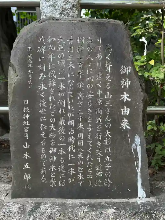 丸子山王日枝神社(神奈川県)