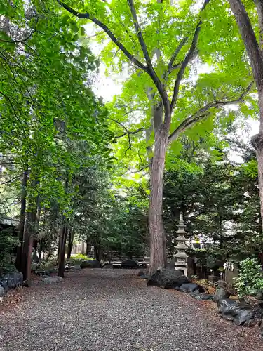 琴似神社(北海道)