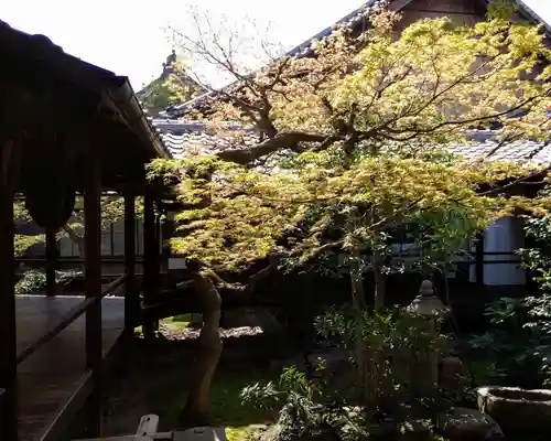 本法寺(京都府)