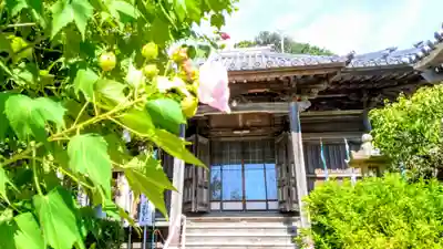 白翁山 神護寺の本殿・本堂