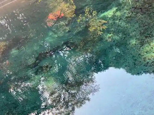 嚴島神社の自然