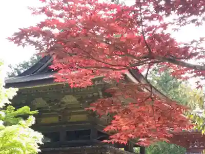 円成寺のその他建物