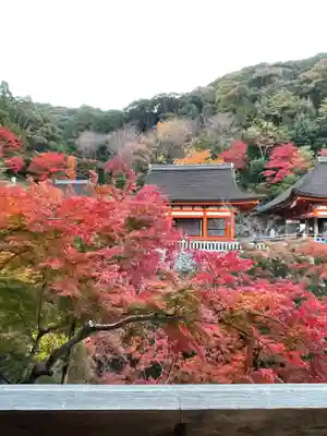 清水寺(京都府)