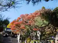 照光寺のその他建物