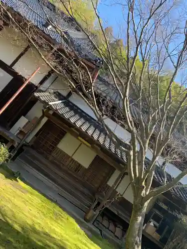 妙湛寺の本殿・本堂