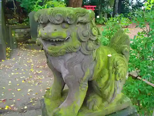 岩槻愛宕神社の狛犬