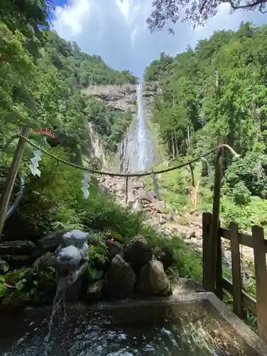 飛瀧神社（熊野那智大社別宮）の自然