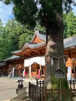 穂高神社本宮(長野県)