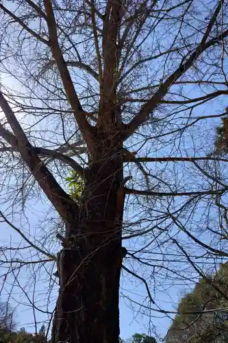 渡通津教会(愛知県)
