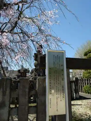 伝通院(東京都)