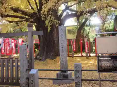 鬼子母神堂　(法明寺）(東京都)