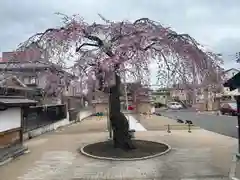 善正寺(宮城県)