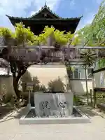 手水舎と藤の花