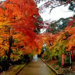 目の霊山　油山寺の自然