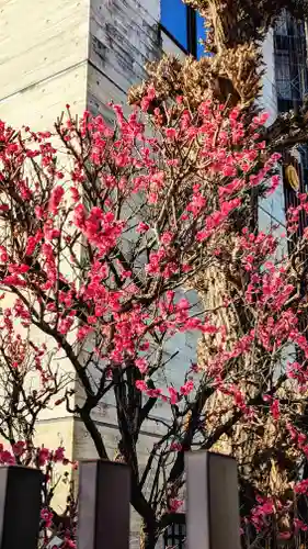 大國神社の自然