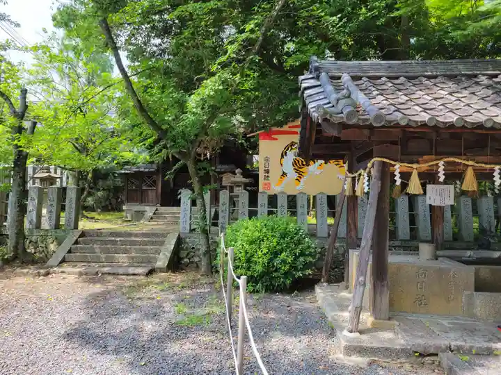 向日神社(京都府)