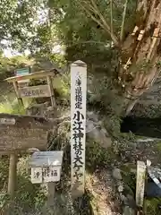 小江神社(兵庫県)
